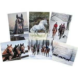 Caroline Cook Christmas Card (Pack Of 12)