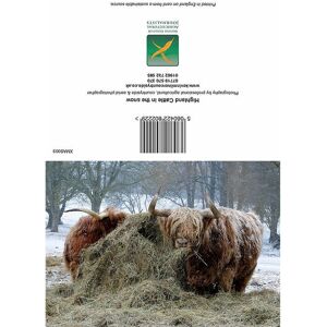Kevin Milner Highland Cattle In The Snow Christmas Card Multicolor Kevin Milner Highland Cattle In The Snow Christmas Card Multicolor