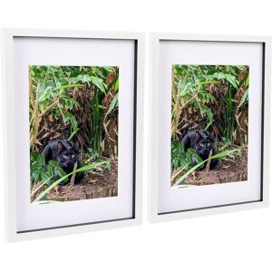 Nicola Spring 3D Box Photo Frames with A4 Mounts - A3 (12" x 17") - White Mount - Pack of 2 White Nicola Spring 3D Box Photo Frames with A4 Mounts - A3 (12" x 17") - White Mount - Pack of 2 White