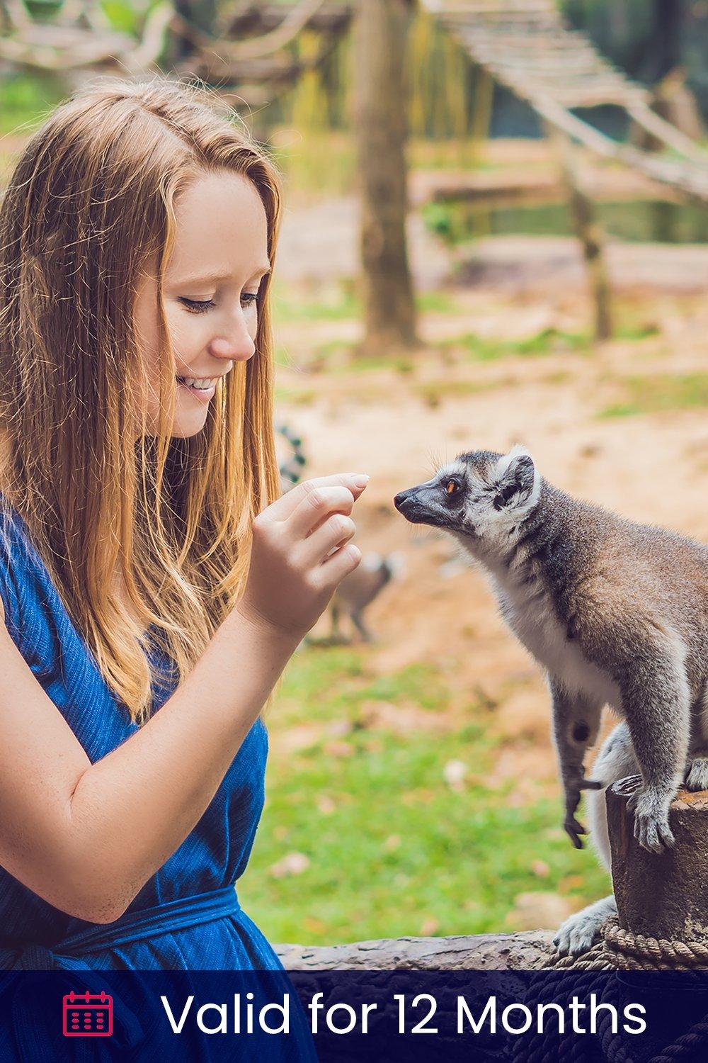 Activity Superstore Meet the Meerkats, Servals and Lemurs at Hoo Farm for Two Gift Experience