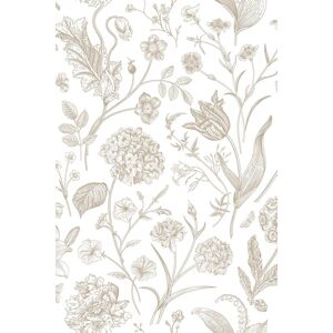 Hoopla Walls Floral Toile - Stone 10m Wallpaper in Brown Brown 10m Hoopla Walls Floral Toile - Stone 10m Wallpaper in Brown Brown 10m