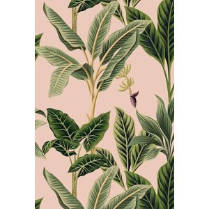 Bobbi Beck Eco-Friendly Vintage Tropical Wallpaper in Pink Pink Bobbi Beck Eco-Friendly Vintage Tropical Wallpaper in Pink Pink
