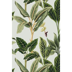 Bobbi Beck Eco-Friendly Vintage Tropical Wallpaper in Green Green Bobbi Beck Eco-Friendly Vintage Tropical Wallpaper in Green Green