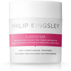 Philip Kingsley Elasticizer