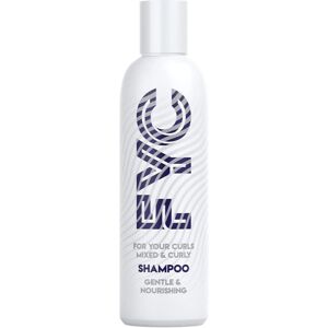 FYC For Your Curls Curly Hair Shampoo - Gentle & Nourishing in White Size: 250ml White 250ml FYC For Your Curls Curly Hair Shampoo - Gentle & Nourishing in White Size: 250ml White 250ml