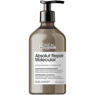 L'Oréal Professionnel Absolut Repair Molecular Shampoo - Hair Repair L'Oréal Professionnel Absolut Repair Molecular Shampoo - Hair Repair