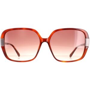 Ted Baker Square Tortoise Brown Brown Gradient TB1616 Indi