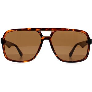 Guess Men's Aviator Dark Havana Brown GF5125 Brown One Size Guess Men's Aviator Dark Havana Brown GF5125 Brown One Size