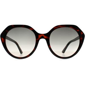 Guess Women's Oval Dark Havana Grey Gradient GF6201 in Brown Brown One Size Guess Women's Oval Dark Havana Grey Gradient GF6201 in Brown Brown One Size