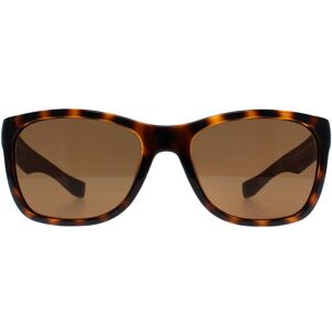 Lacoste Men's Square Havana Brown Polarized L662SP Brown One Size Lacoste Men's Square Havana Brown Polarized L662SP Brown One Size