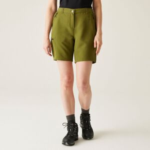 Regatta Women's 'Chaska v3' Active Shorts in Green Size: 16 Green 16 Regatta Women's 'Chaska v3' Active Shorts in Green Size: 16 Green 16