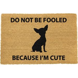 Artsy Mats Chihuahua Doormat - Regular 60x40cm in Black Size: 40 cm x 60 cm Black 40 cm x 60 cm Artsy Mats Chihuahua Doormat - Regular 60x40cm in Black Size: 40 cm x 60 cm Black 40 cm x 60 cm