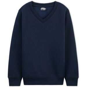 CityComfort Boy's V Neck Sweater in Navy Size: 5-6 Years Navy 5-6 Years CityComfort Boy's V Neck Sweater in Navy Size: 5-6 Years Navy 5-6 Years
