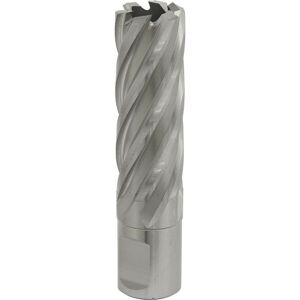Loops 20mm x 50mm Depth Rotabor Cutter - M2 Steel Annular Metal Core Drill 19mm Shank in Metallics Metallics Loops 20mm x 50mm Depth Rotabor Cutter - M2 Steel Annular Metal Core Drill 19mm Shank in Metallics Metallics