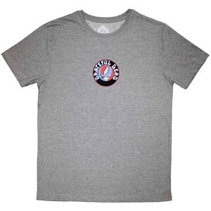 Grateful Dead Mini Steal Your Face Logo T-Shirt in Grey Size: Medium Grey M Grateful Dead Mini Steal Your Face Logo T-Shirt in Grey Size: Medium Grey M