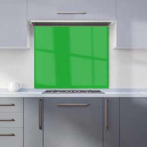 Warren Reed - Designer Clover Green Kitchen Splashback Size: 600mm x 650mm Green 600mm x 650mm Warren Reed - Designer Clover Green Kitchen Splashback Size: 600mm x 650mm Green 600mm x 650mm
