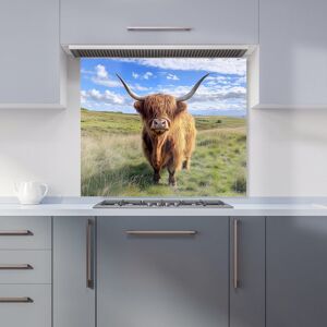 Warren Reed - Designer Highland Cow In Summer Kitchen Splashback Size: 900mm x 750mm Multicolor 900mm x 750mm Warren Reed - Designer Highland Cow In Summer Kitchen Splashback Size: 900mm x 750mm Multicolor 900mm x 750mm
