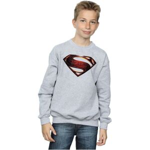 DC Comics Boy's Justice League Movie Superman Emblem Sweatshirt in Grey Size: 9 Years Grey 9 Years DC Comics Boy's Justice League Movie Superman Emblem Sweatshirt in Grey Size: 9 Years Grey 9 Years