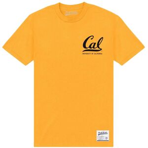 Berkeley Men's University Of California T-Shirt in Gold Size: XL Gold XL Berkeley Men's University Of California T-Shirt in Gold Size: XL Gold XL