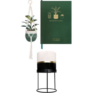 Portico Designs Ltd The Urban Gardener Macrame Plant Hanger, House Plant Planner & Small Ceramic Plant Pot with Stand Set Multicolor Portico Designs Ltd The Urban Gardener Macrame Plant Hanger, House Plant Planner & Small Ceramic Plant Pot with Stand Set Multicolor