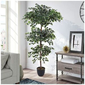 The hot sale 1.85m Artificial 3-Tier ZZ Plant Tree Plant with White Edges Leave & Realistic Trunk in Green Green The hot sale 1.85m Artificial 3-Tier ZZ Plant Tree Plant with White Edges Leave & Realistic Trunk in Green Green