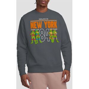 Teenage Mutant Ninja Turtles Tmnt Tmnt Nyc Crew Sweatshirt, Charcoal Size: Large Charcoal L Teenage Mutant Ninja Turtles Tmnt Tmnt Nyc Crew Sweatshirt, Charcoal Size: Large Charcoal L