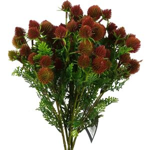 Pegdev Pack of 6 55cm Artificial Red Craspedia Stem Flower Balls Craft Red Pegdev Pack of 6 55cm Artificial Red Craspedia Stem Flower Balls Craft Red