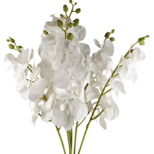 Pegdev Pack of 6 100cm Artificial White Orchid Stem Elegant Faux Flowers White Pegdev Pack of 6 100cm Artificial White Orchid Stem Elegant Faux Flowers White