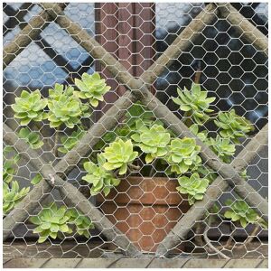 Living and Home 0.9 X 6M Galvanized Hexagonal Wire Mesh Fence Netting in Silver Silver Living and Home 0.9 X 6M Galvanized Hexagonal Wire Mesh Fence Netting in Silver Silver