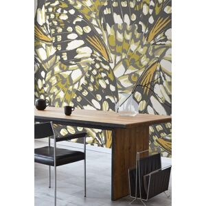 Origin Murals Butterfly Wings Matt Smooth Paste the Wall Mural in Dark Olive Size: W300 cm x H240 cm Dark Olive W300 cm x H240 cm Origin Murals Butterfly Wings Matt Smooth Paste the Wall Mural in Dark Olive Size: W300 cm x H240 cm Dark Olive W300 cm x H240 cm