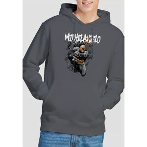 Teenage Mutant Ninja Turtles Tmnt Tmnt Michelangelo Hoodie, Charcoal Size: 2XL Charcoal 2XL Teenage Mutant Ninja Turtles Tmnt Tmnt Michelangelo Hoodie, Charcoal Size: 2XL Charcoal 2XL