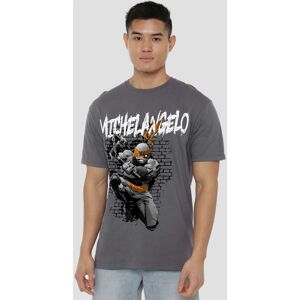 Teenage Mutant Ninja Turtles Tmnt Tmnt Michelangelo T-Shirt, Charcoal Size: 4XL Charcoal 4XL Teenage Mutant Ninja Turtles Tmnt Tmnt Michelangelo T-Shirt, Charcoal Size: 4XL Charcoal 4XL