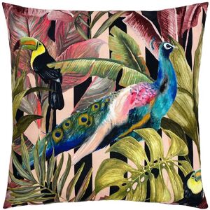 Evans Lichfield Toucan & Peacock Exotic Water & UV Resistant Outdoor Cushion Size: 43 cm x 43 cm Multicolor 43 cm x 43 cm Evans Lichfield Toucan & Peacock Exotic Water & UV Resistant Outdoor Cushion Size: 43 cm x 43 cm Multicolor 43 cm x 43 cm