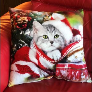 Luxury Living Christmas Cat Decorative Cushion Cover 45cm x 45cm in Red Size: 45 cm x 45 cm Red 45 cm x 45 cm Luxury Living Christmas Cat Decorative Cushion Cover 45cm x 45cm in Red Size: 45 cm x 45 cm Red 45 cm x 45 cm