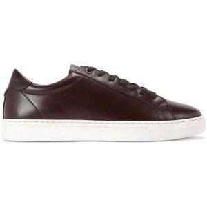 KG Kurt Geiger Men's 'Fire' Leather Trainers in Brown Size: 8 Brown 8 KG Kurt Geiger Men's 'Fire' Leather Trainers in Brown Size: 8 Brown 8