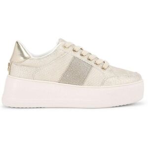 Carvela Women's 'Jive Lace Up' Trainers in Gold Size: 6 Gold 6 Carvela Women's 'Jive Lace Up' Trainers in Gold Size: 6 Gold 6