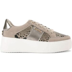 Carvela Women's 'Jive Lace Up' Trainers in Grey Size: 4 Grey 4 Carvela Women's 'Jive Lace Up' Trainers in Grey Size: 4 Grey 4