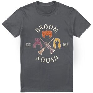 Disney Hocus Pocus Sanderson Sisters Broom Squad T-Shirt Charcoal Size: 2XL Charcoal 2XL Disney Hocus Pocus Sanderson Sisters Broom Squad T-Shirt Charcoal Size: 2XL Charcoal 2XL