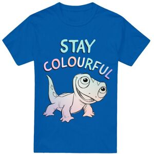 Frozen Stay Colourful With Fire Spirit, Bruni T-Shirt Royal Size: 2XL Royal 2XL Frozen Stay Colourful With Fire Spirit, Bruni T-Shirt Royal Size: 2XL Royal 2XL