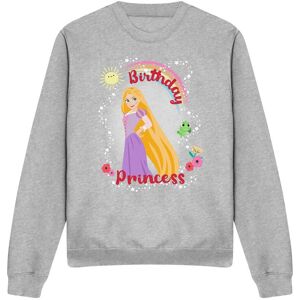 Disney Tangled Birthday Princess With Rapunzel & Pascal Sweatshirt Light Grey Size: Small Light Grey S Disney Tangled Birthday Princess With Rapunzel & Pascal Sweatshirt Light Grey Size: Small Light Grey S