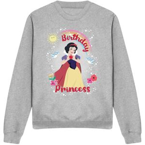 Snow White Birthday Princess & Friends Sweatshirt Light Grey Size: 2XL Light Grey 2XL Snow White Birthday Princess & Friends Sweatshirt Light Grey Size: 2XL Light Grey 2XL