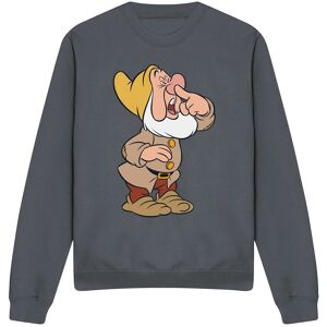 Snow White And The Seven Dwarfs, Sneezy Sweatshirt Charcoal Size: 2XL Charcoal 2XL Snow White And The Seven Dwarfs, Sneezy Sweatshirt Charcoal Size: 2XL Charcoal 2XL
