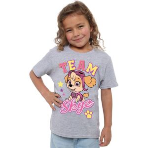Paw Patrol Girl's Team Skye T-Shirt in Grey Size: 7-8 Years Grey 7-8 Years Paw Patrol Girl's Team Skye T-Shirt in Grey Size: 7-8 Years Grey 7-8 Years