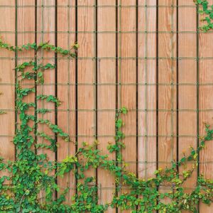 mysmartbuy Garden Netting - Outdoor Polypropylene Trellis Mesh Net Support for Climbing Plants, Tall Flowers, Vegetables, Fruits - 1.7 x 4M in Green Green mysmartbuy Garden Netting - Outdoor Polypropylene Trellis Mesh Net Support for Climbing Plants, Tall Flowers, Vegetables, Fruits - 1.7 x 4M in Green Green