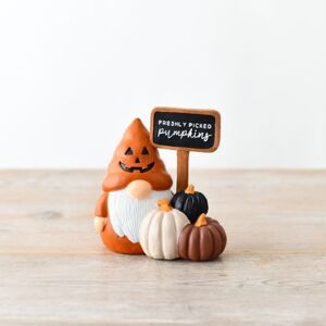 Garden Greatness Pumpkin Gonk Ornament with Chalkboard Sign 11cm in Orange Size: 1 Pack Orange 1 Pack Garden Greatness Pumpkin Gonk Ornament with Chalkboard Sign 11cm in Orange Size: 1 Pack Orange 1 Pack