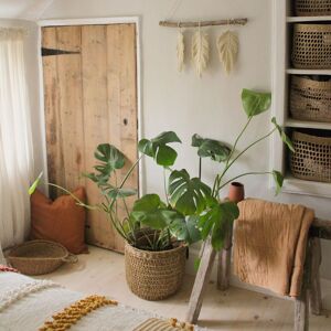 Ivyline Seagrass Lined Basket Natural Set of 2 Natural Ivyline Seagrass Lined Basket Natural Set of 2 Natural