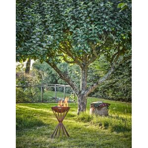 Ivyline Outdoor Tall Metal Dak Fire Pit in Rust H65Cm W38Cm in Brown Brown Ivyline Outdoor Tall Metal Dak Fire Pit in Rust H65Cm W38Cm in Brown Brown