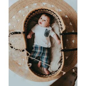 Lilly + Sid Boy's Roll Leg Set - Check Bear Pocket Size: 0-3 m Multicolor 0-3 m Lilly + Sid Boy's Roll Leg Set - Check Bear Pocket Size: 0-3 m Multicolor 0-3 m