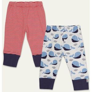 Lilly + Sid Boy's 2-Pack Red Stripe & Whale Print Leggings Size: 3-6 m Multicolor 3-6 m Lilly + Sid Boy's 2-Pack Red Stripe & Whale Print Leggings Size: 3-6 m Multicolor 3-6 m