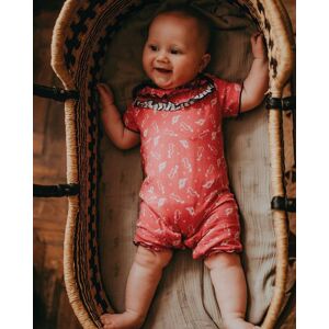 Lilly + Sid Girl's Seashorse Print Romper in Red Size: 3-6 m Red 3-6 m Lilly + Sid Girl's Seashorse Print Romper in Red Size: 3-6 m Red 3-6 m